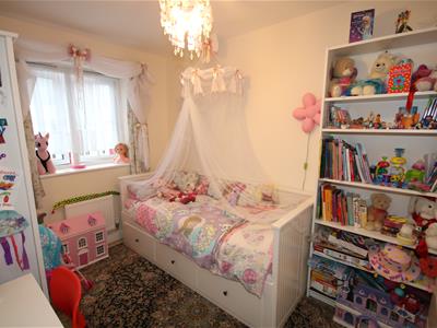 Picture 15